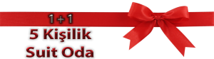 çınar apart ocaklar