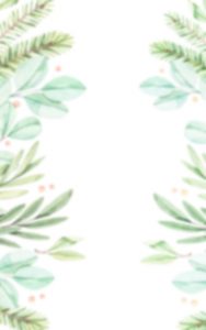 erdek ocaklar apartlar