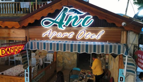 anı